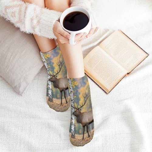 5 Pairs of Cotton Ankle Socks for Women Men Fall Birch Leaves Elk Low Cut Socks for Running Hiking No Show Athletic Sock